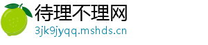 待理不理网